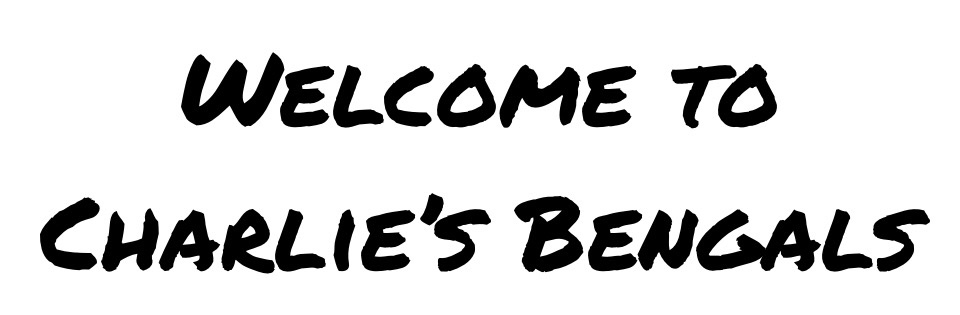 Welcome To Charlie's Bengals